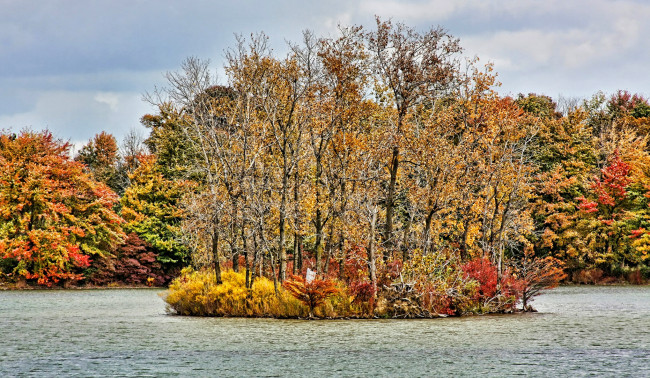 Обои картинки фото природа, реки, озера, осень, река, лес, островок, деревья, желтые, кроны