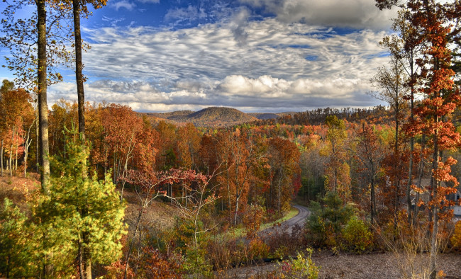 Обои картинки фото природа, пейзажи, осень, лес, холмы, дорога, желтые, кроны, облака