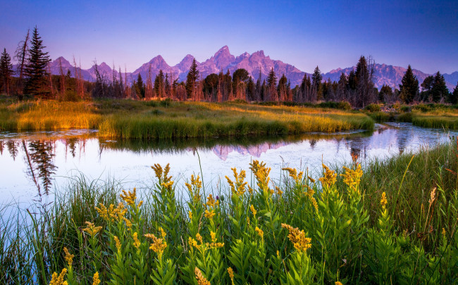 Обои картинки фото природа, реки, озера, горы, лес, река, трава, цветы