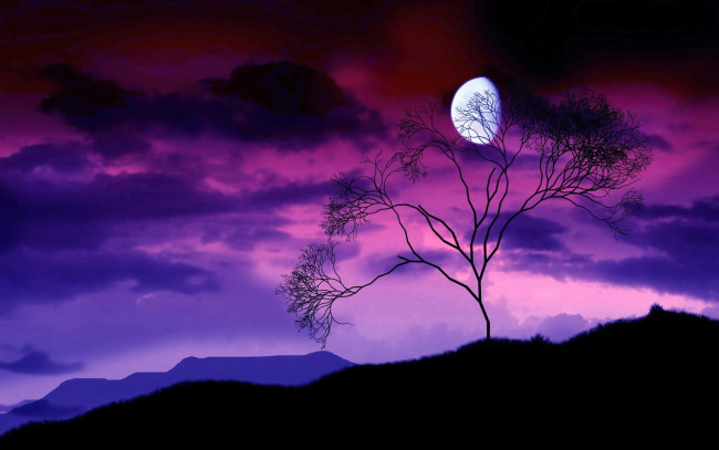 Обои картинки фото векторная, графика, деревья, луна, ночь, небо, силуэты