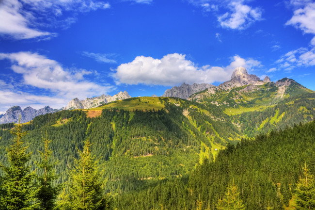 Обои картинки фото природа, горы, австрия, лес