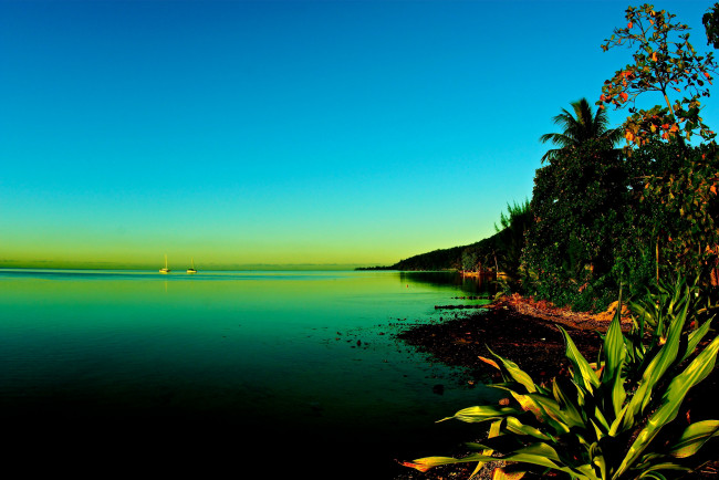 Обои картинки фото moorea, french, polynesia, природа, тропики, море, побережье, яхты, деревья