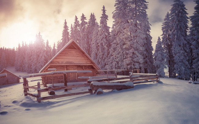Обои картинки фото природа, зима, winter, landscape, snow, снег, елки, хижина, деревня