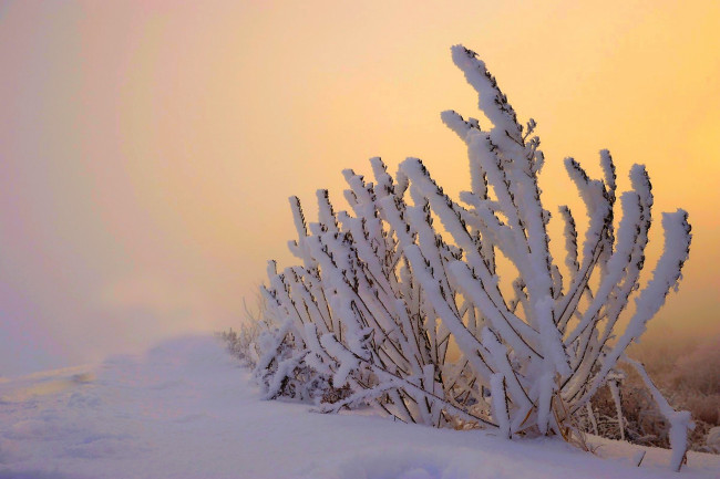 Обои картинки фото природа, зима, снег, небо, пейзаж, nature, winter, sky, white, beautiful, cool, nice, snow, sunset