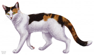 Картинка рисованное животные +коты кошка фон