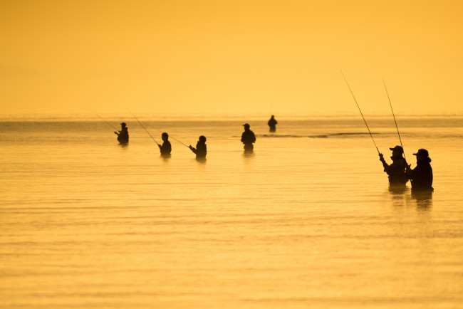 Обои картинки фото разное, рыбалка,  рыбаки,  улов,  снасти, люди, море