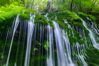 Картинка природа водопады водопад вода камни мох растительность