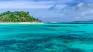 Картинка природа тропики пальмы голубое море пляж