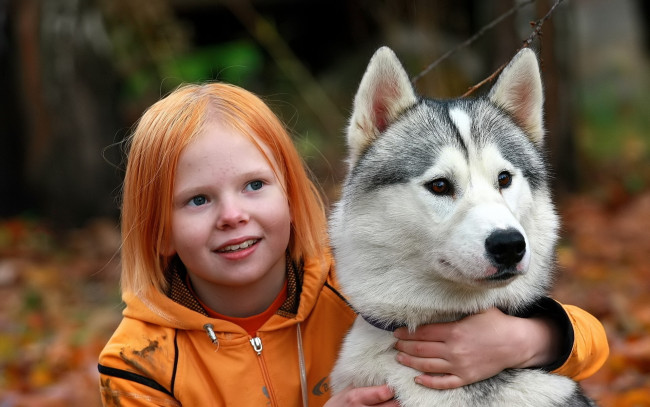 Обои картинки фото разное, дети, девочка, рыжая, куртка, собака