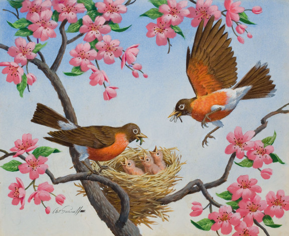 Обои картинки фото arthur, saron, sarnoff, рисованные, ветка, цветы, птенцы, гнездо, птицы
