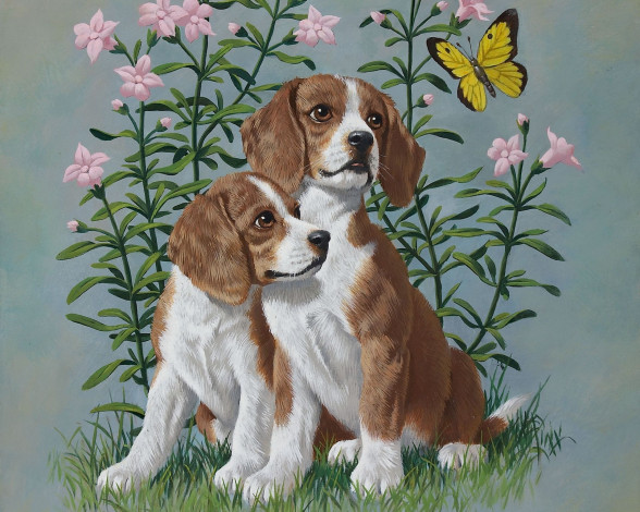 Обои картинки фото arthur, saron, sarnoff, рисованные, щенки, бабочка, цветы, собаки