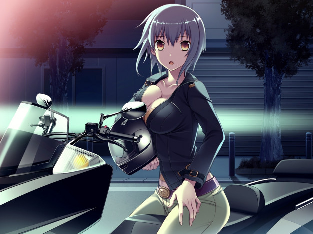 Обои картинки фото аниме, weapon, blood, technology, город, девушка, шлем, ночь, свет, мотоцикл, game
