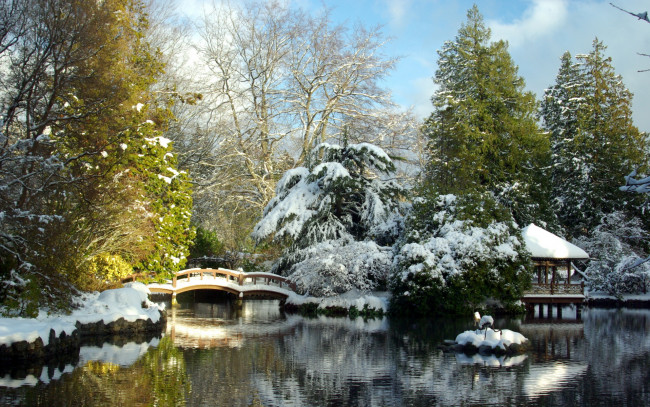 Обои картинки фото природа, парк, деревья, мост, снег, зима
