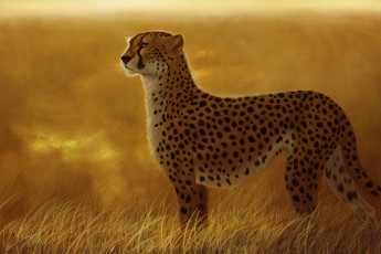 Картинка рисованные животные гепарды трава дикая кошка хищник гепард саванна