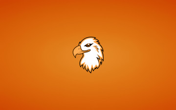 Картинка рисованные минимализм орел животное птица голова eagle орлан