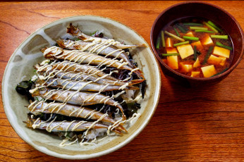 Картинка еда разное суп рыба