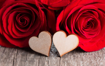 Картинка праздничные день+святого+валентина +сердечки +любовь розы