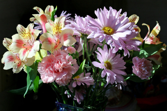 Обои картинки фото цветы, букеты,  композиции, альстромерия, гвоздика, хризантемы