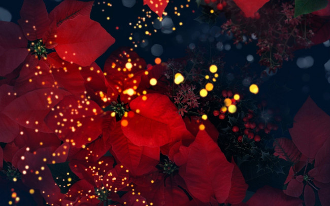 Обои картинки фото праздничные, - разное , новый год, блики, листья, ягоды