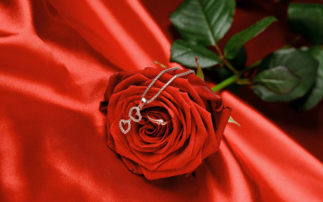 Картинка цветы розы сердечки