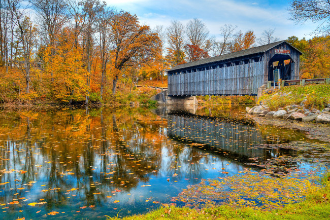 Обои картинки фото природа, реки, озера, река, мост, осень, деревья