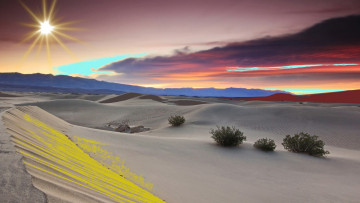 Картинка природа пустыни песок кусты облака