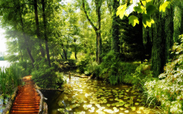 Картинка природа парк деревья мостик водоем