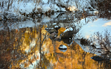 Картинка природа реки озера река трава снег
