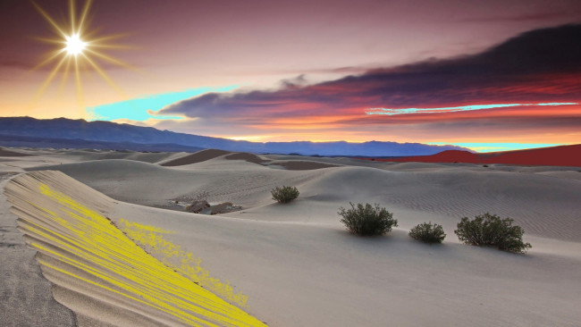 Обои картинки фото природа, пустыни, песок, кусты, облака