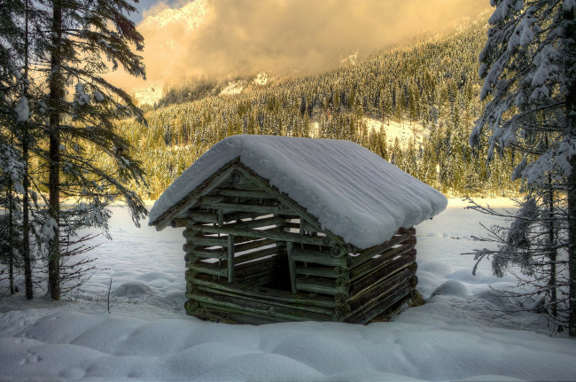 Обои картинки фото austrian, alps, природа, зима, снег, лес