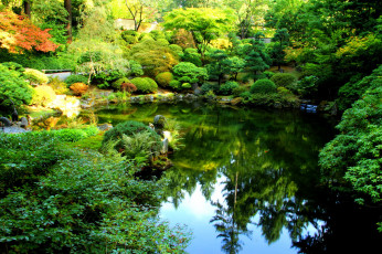 Картинка portland+japanese+garden природа парк кусты пруд цветы деревья сад орегон сша