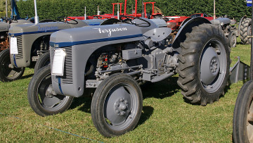 обоя 1954 ferguson tea tractor, техника, тракторы, колесный, трактор