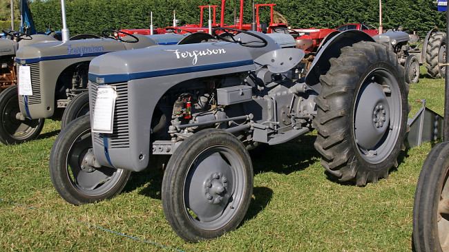 Обои картинки фото 1954 ferguson tea tractor, техника, тракторы, колесный, трактор