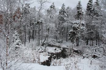 Картинка природа зима снег река деревья