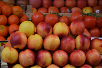 Картинка еда персики +сливы +абрикосы прилавок