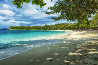 Картинка природа тропики камни деревья вода пляж