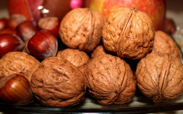Картинка еда орехи +каштаны +какао-бобы фундук грецкий