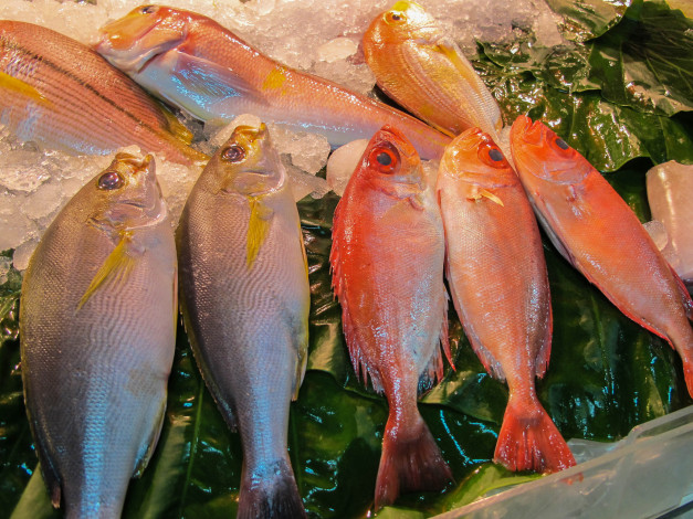 Обои картинки фото еда, рыба,  морепродукты,  суши,  роллы