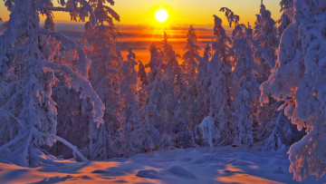 Картинка Якутия +оймяконский+район природа зима вече холод деревья район пейзаж мороз снег оймяконский закат