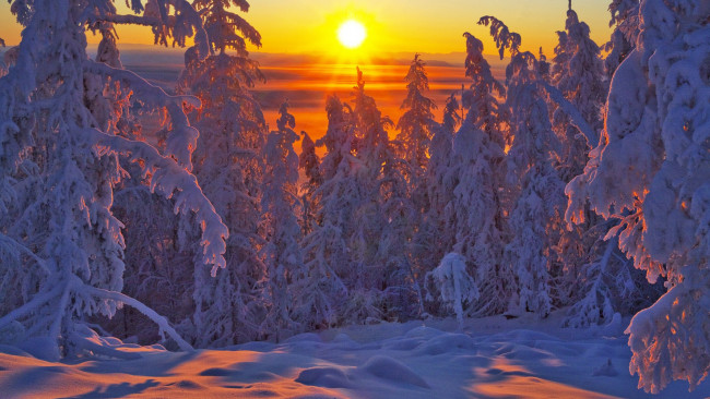 Обои картинки фото Якутия,  оймяконский район, природа, зима, вече, холод, деревья, район, пейзаж, мороз, снег, оймяконский, закат