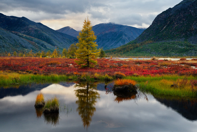 Обои картинки фото kolyma, природа, реки, озера, красота, вид, озеро, край, осень, пейзаж