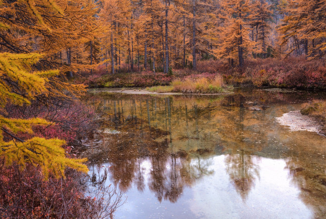 Обои картинки фото kolyma, природа, реки, озера, пейзаж, край, красота, осень, вид, озеро