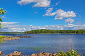 Картинка карелия природа реки озера берег лес озеро россия