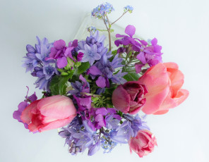 Картинка цветы букеты +композиции тюльпаны колокольчики светлый фон незабудки лунник