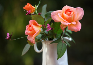 Картинка цветы розы ваза кремовый