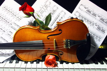 обоя музыка, музыкальные инструменты, клавиши, скрипка, ноты, розы