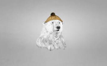 Картинка белый+медведь+в+шапке рисованные минимализм белый медведь шапка
