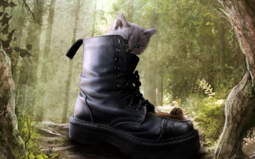 Картинка фэнтези фотоарт улитка котенок ботинок