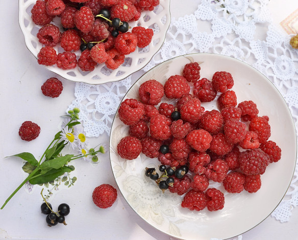 Обои картинки фото еда, фрукты,  ягоды, ягоды, малина, смородина, ромашка