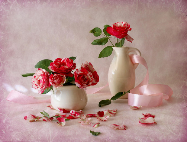 Обои картинки фото цветы, розы, пестрый, лента, ваза, кувшин